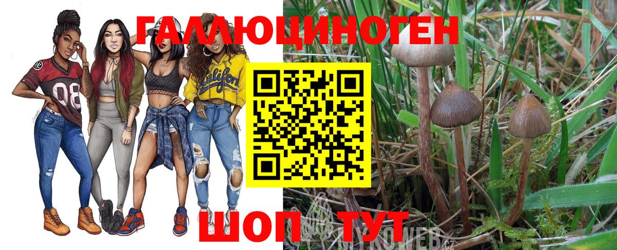 Галлюциногенные грибы мицелий Верхняя Салда
